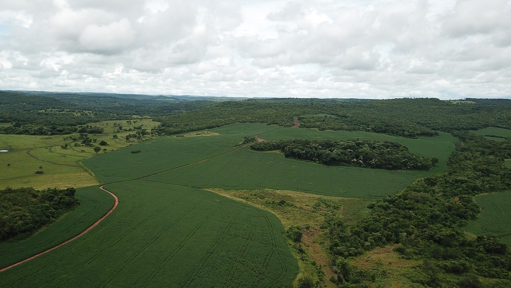 Alertas de desmatamento na Amazônia crescem 29,9% em março, mostram dados do Inpe